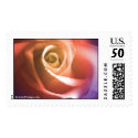 August Wedding Rose Postage Stamp
